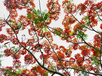 《刀剑神域 彼岸游境》发布NS版上市预告 今日开售