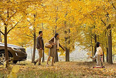 《女神异闻录3：Reload》公布 首发加入XGP