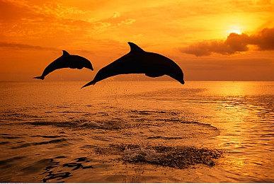 卧龙苍天陨落天柱派钥匙在哪？卧龙苍天陨落道士家的后院钥匙位置